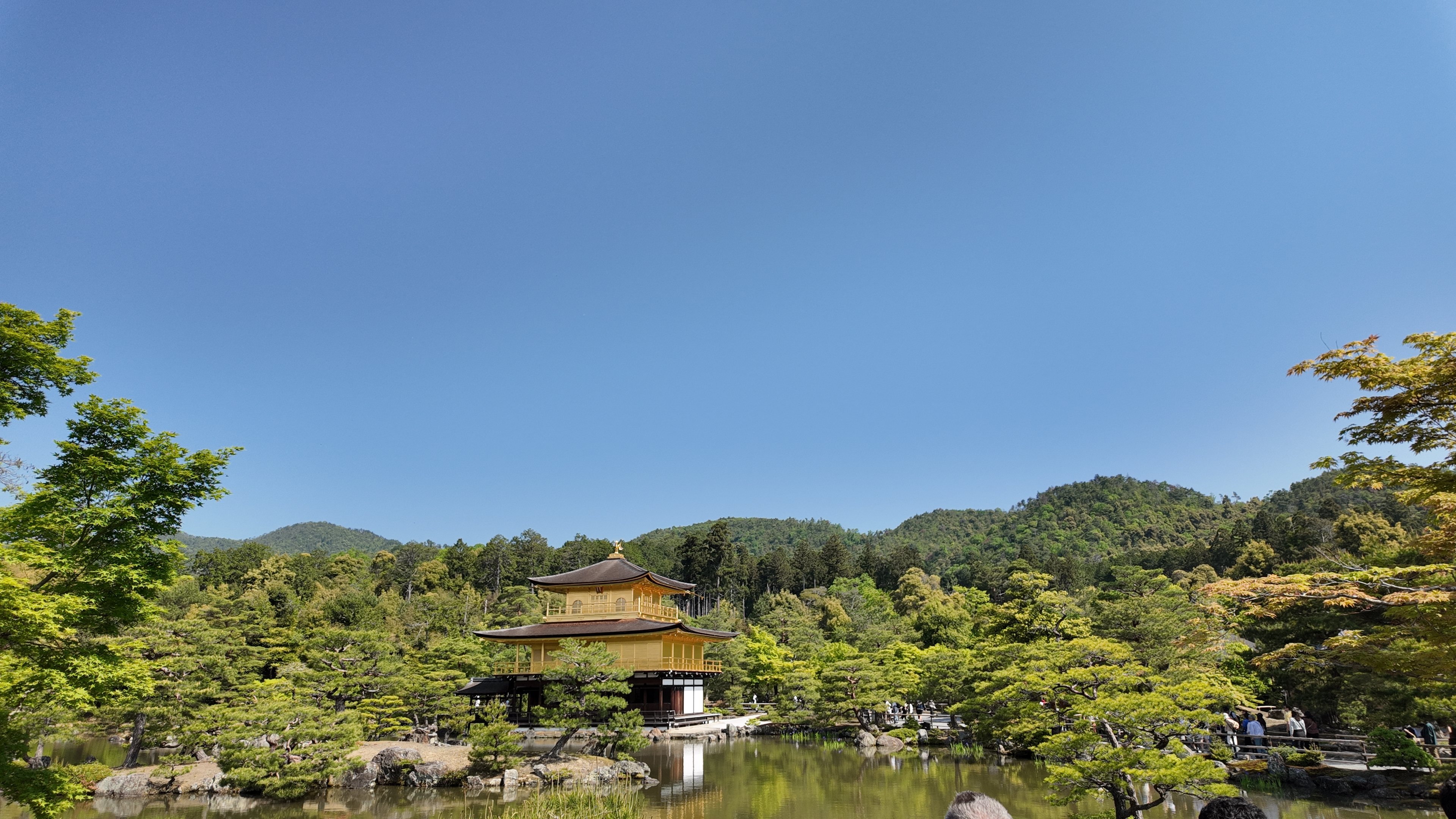 远处的金阁寺，它的最顶端有一只「凤凰」（但我怎么看都觉得是鸡）